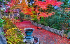 風景２６３ 寺　秋