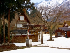 日本風景１３４３　合掌村