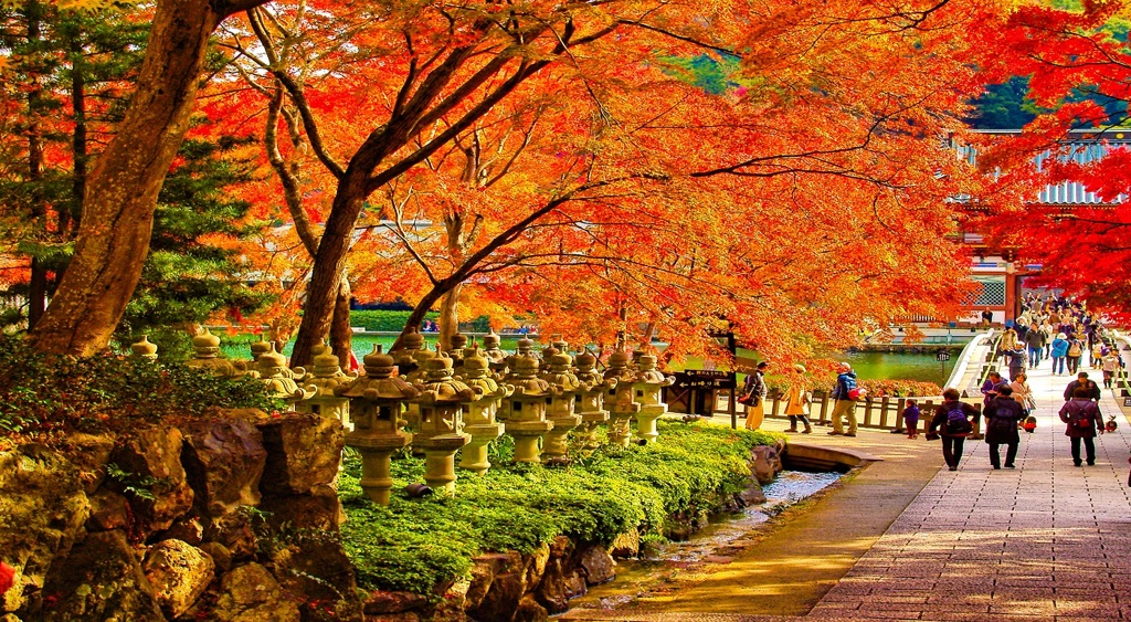 風景２２６　山寺　 秋