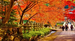 風景２２６　山寺　 秋