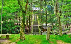 日本風景８３３　兵庫　寺