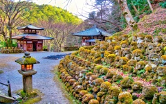 風景３６１　京都　あだしの