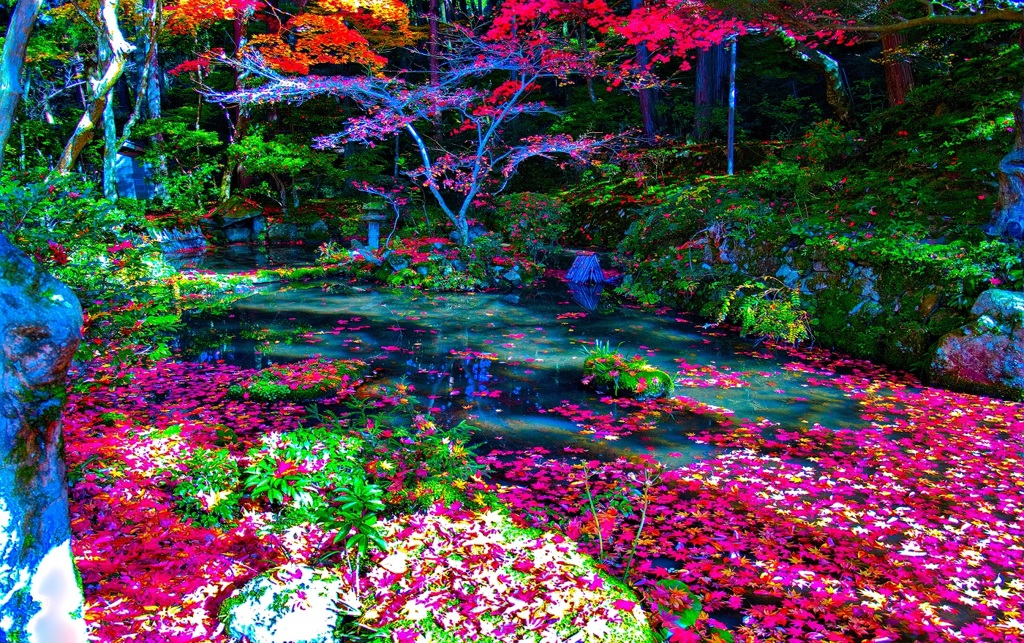 風景３２５ 寺　秋