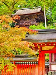 風景１８５　京都　秋　