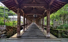 日本風景７５ ９　寺　