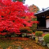 風景２５３ 寺　秋