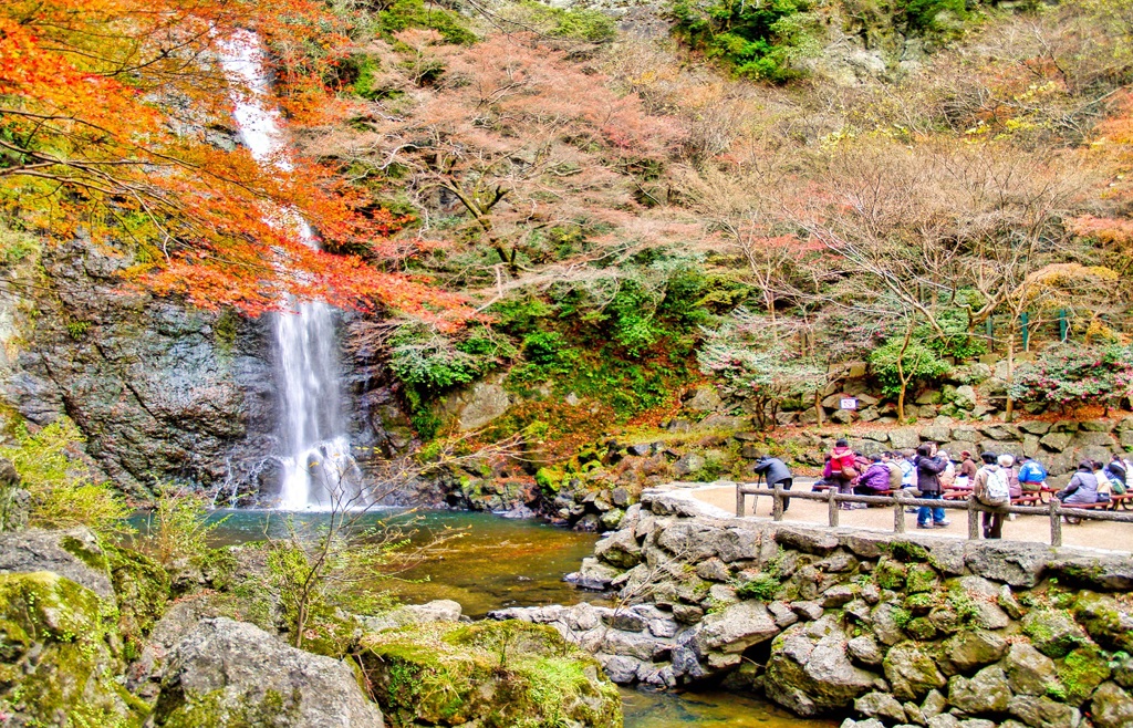 風景２０８　滝　 秋