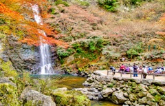 風景２０８　滝　 秋
