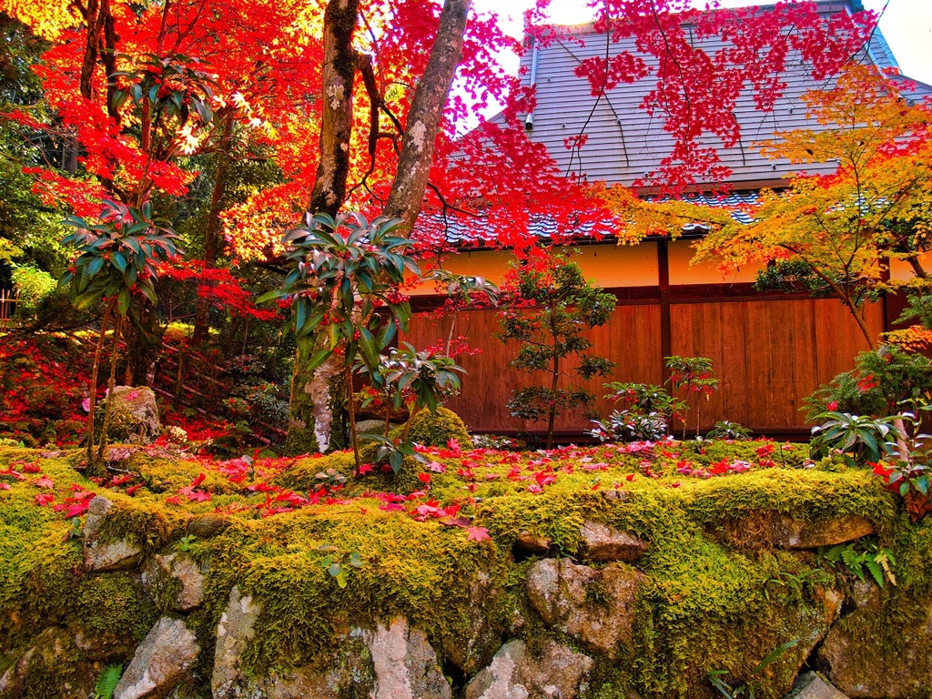 風景３３６ 寺　秋