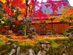 風景３３６ 寺　秋