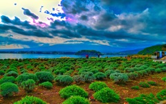 風景４１８　富士