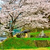 日本風景８７６　桜と地蔵