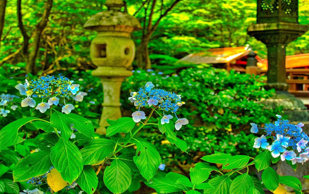 風景６９２　山寺　庭