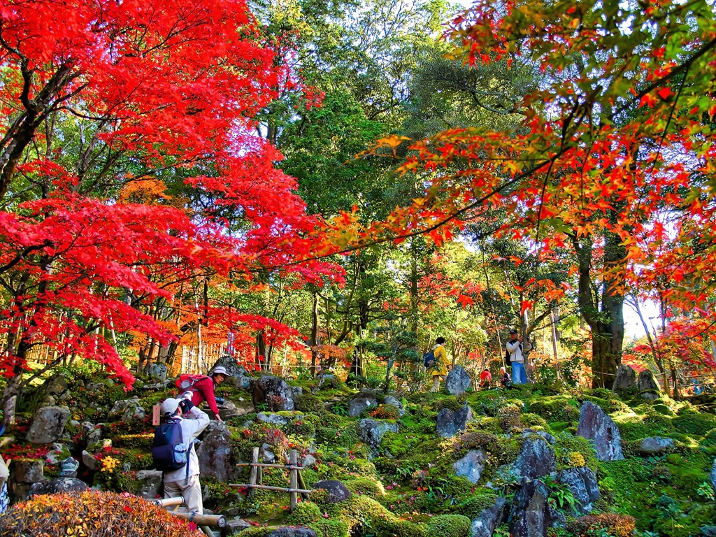 風景３２９ 寺　秋