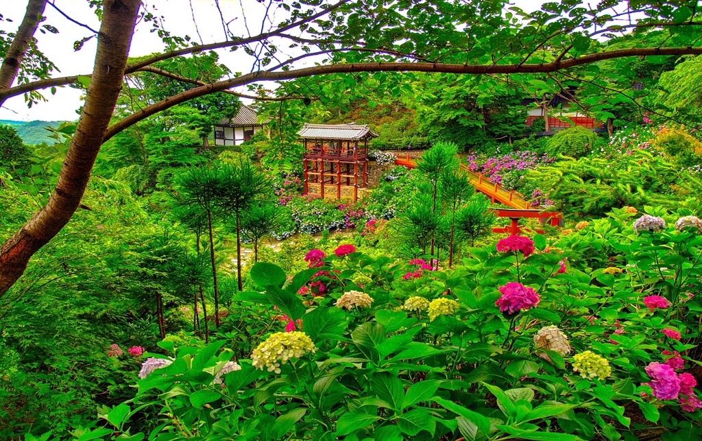 風景６９７　山寺　庭