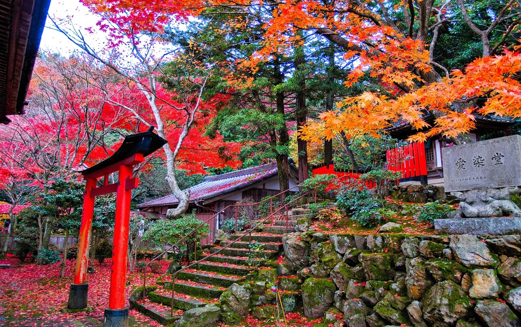 日本風景２６２ 寺　秋