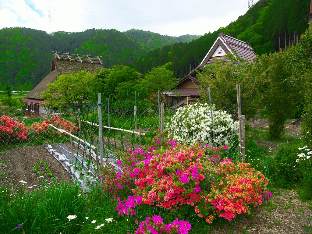 日本風景１４４７田舎