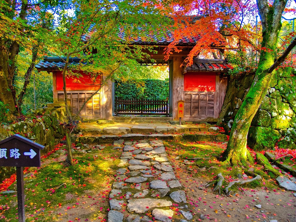 風景２７６ 寺　秋