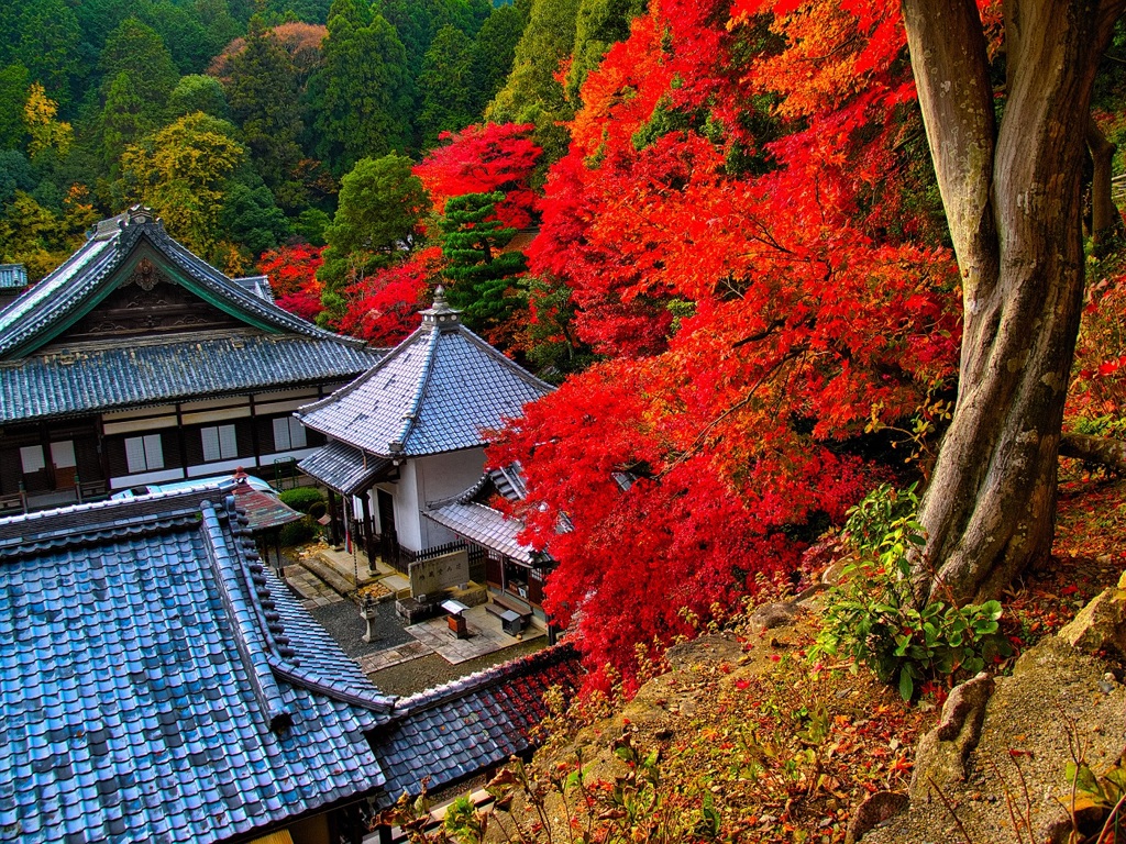 風景２６１ 寺　秋