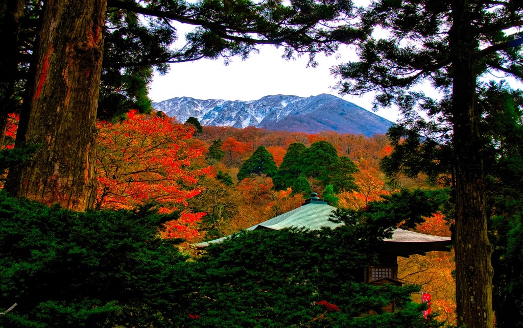 風景２６３ 寺　秋