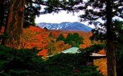 風景２６３ 寺　秋