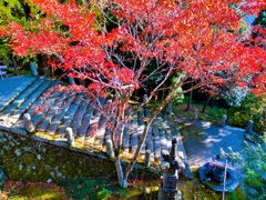 風景２５４ 寺　秋