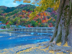 日本風景１５００　秋