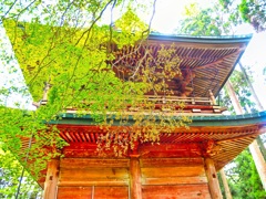 風景２１１　比叡山