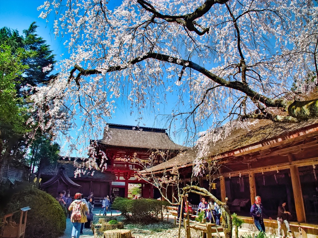 風景４３１　吉野山