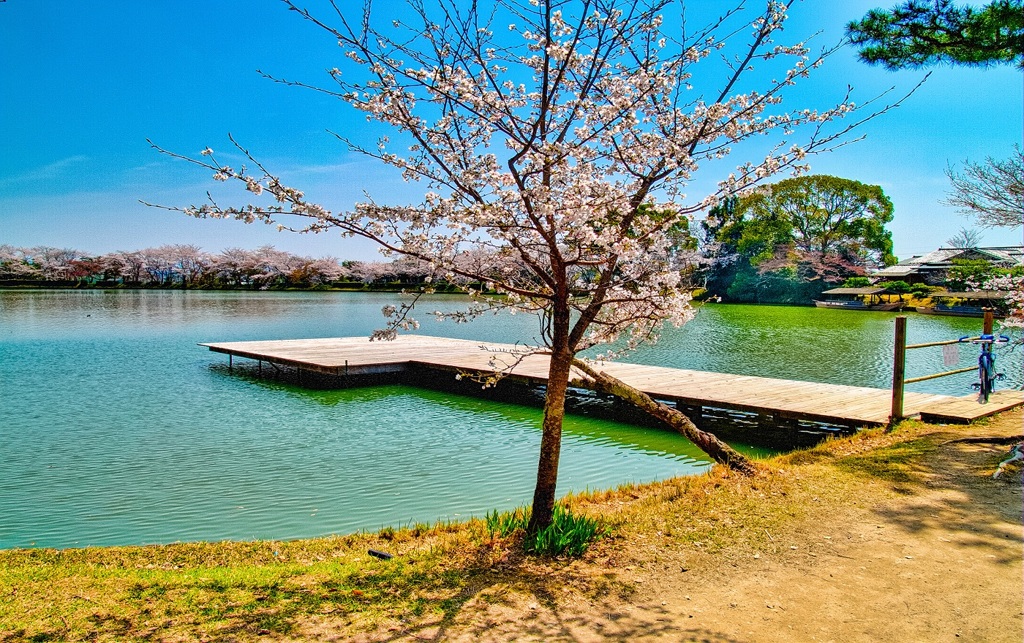 風景４４４　京都　春