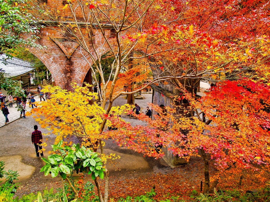 風景２２２　京都　 秋
