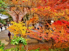 風景２２２　京都　 秋