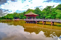 日本風景７８５　奈良　池