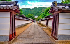 日本風景７６６　奈良　参道