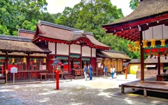 日本風景８１９　京都　神社
