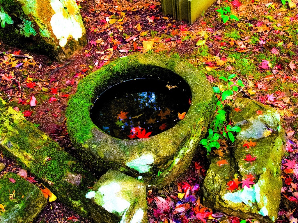 風景２４１　山寺　秋