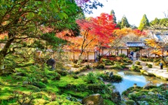 風景３２６ 寺　秋