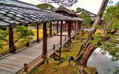 風景７１６　京都　庭