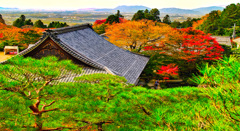 風景２６５ 寺　秋