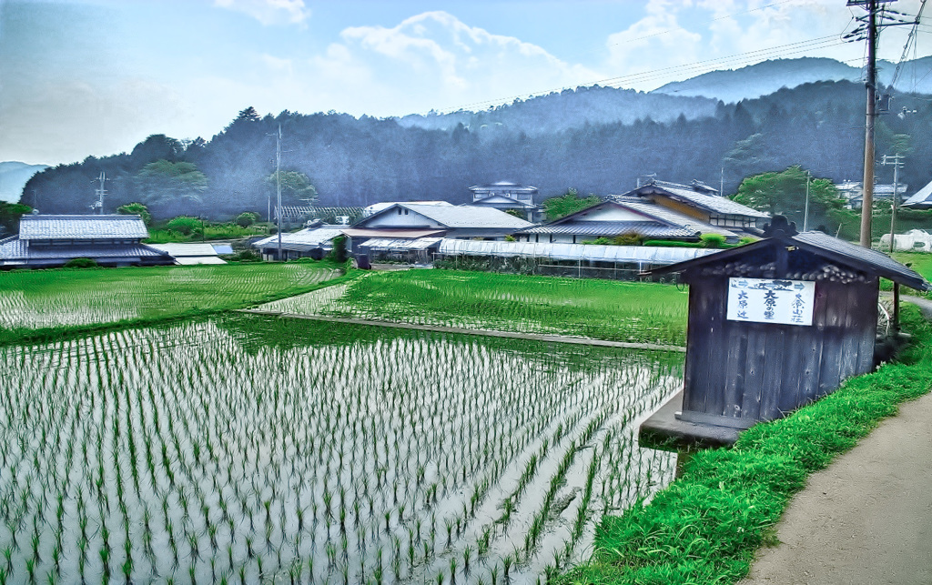 風景６４１　京都　大原