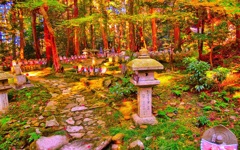 風景２８０ 寺　秋