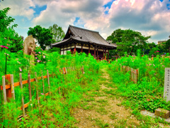日本風景１００９　寺