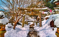 風景３６５　神社　冬