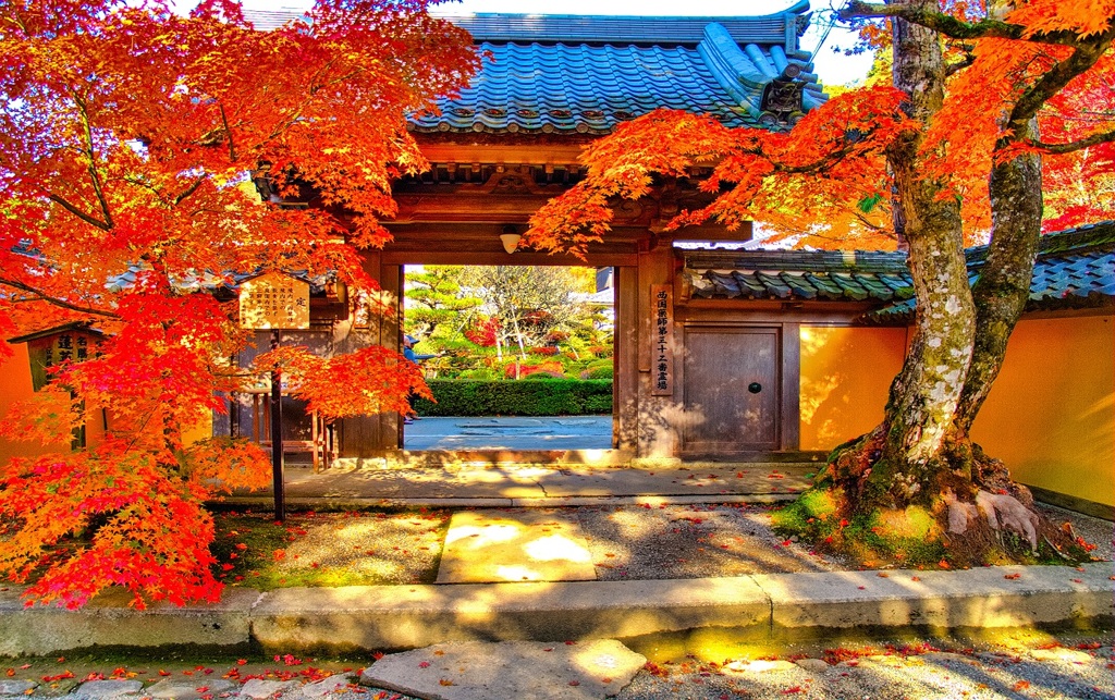 風景３３２ 寺　秋