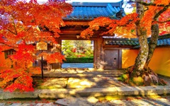 風景３３２ 寺　秋