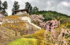 日本風景９０７　桜と城