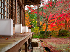 日本風景１０２1　秋