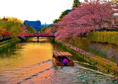 風景４４１　京都　春