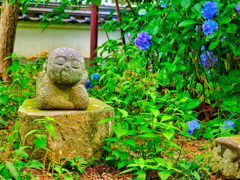 日本風景９９０　紫陽花