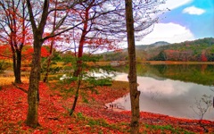 風景３５３　湖畔　晩秋